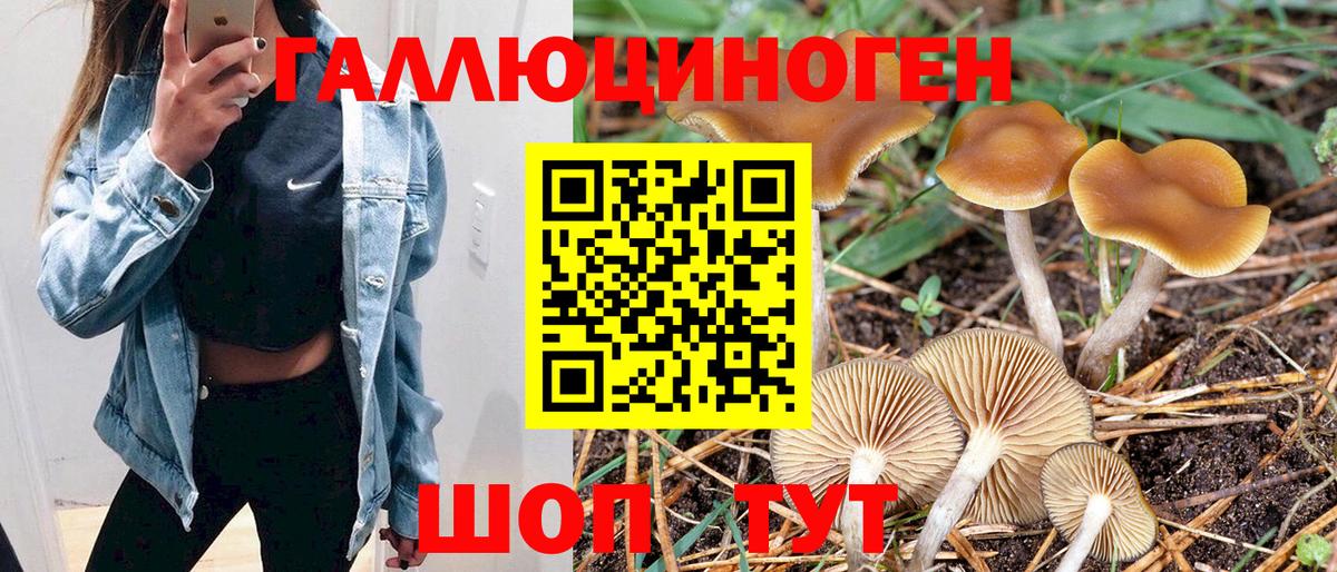 Псилоцибиновые грибы Cubensis Десногорск